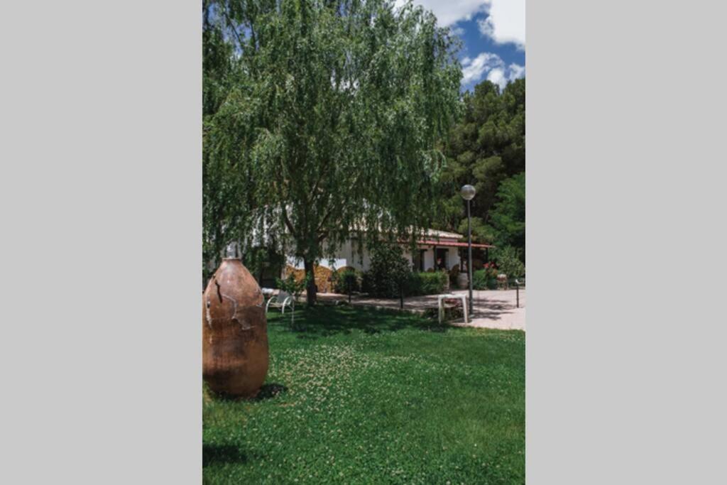 Вілла Casa Cueva Piena, Alcudia De Guadix Екстер'єр фото
